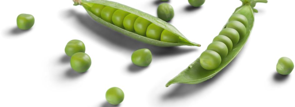 ¿Cuáles son las propiedades de la proteína de guisante?