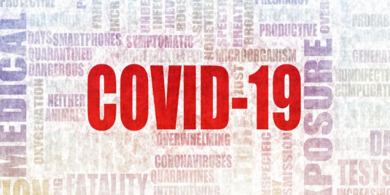 COVID-19: Resumen de nuestra actividad
