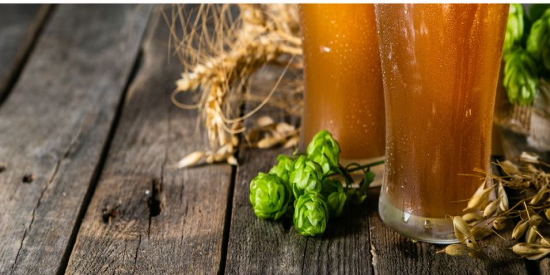 Fabricación de cerveza artesanal, paso a paso