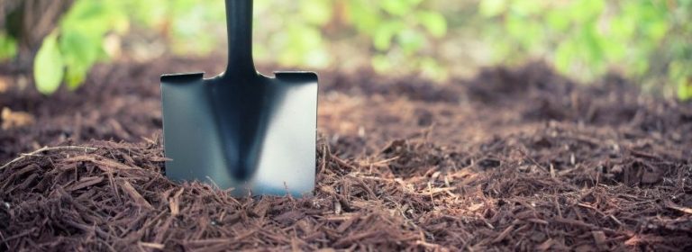 12 tipos de sustratos para el cultivo de plantas