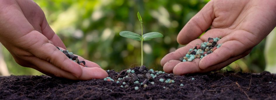 Tipos de fertilizantes más utilizados