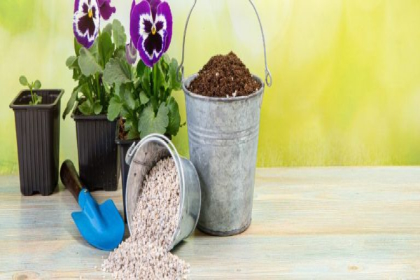 Perlita, ¿el mejor sustrato para plantas?