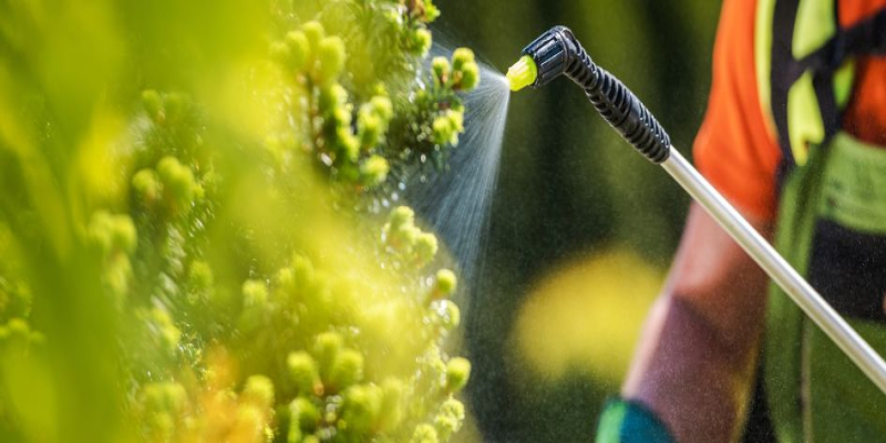 Ácido bórico: Para qué sirve y dónde usarlo