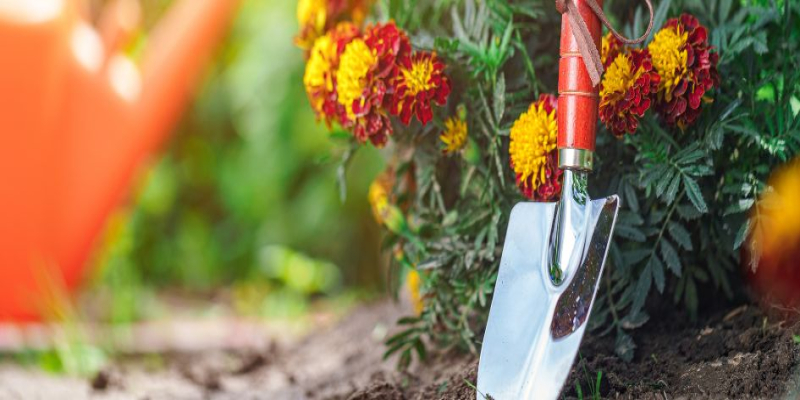 Prepara tu huerto y jardín para la primavera