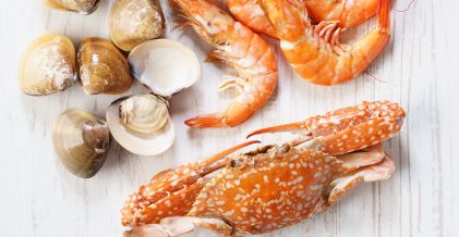 Procesamiento de productos marinos marisco