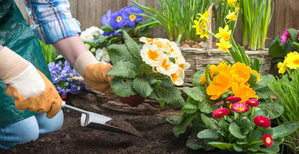 Periodo de utilización jardin