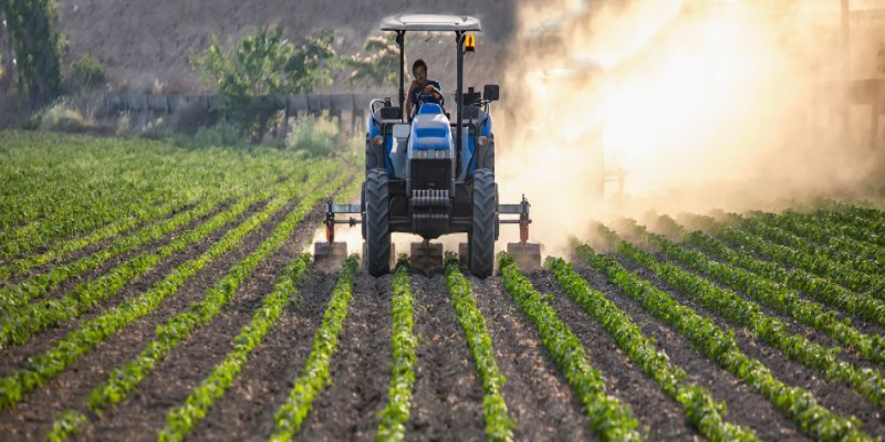 Bioestimulantes agrícolas, ¿ecológicos o químicos?
