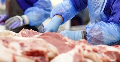 Industria alimentaria tripas_naturales