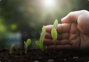 Agroquímica Agroquímica