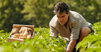 Agricultura usos-agricultura