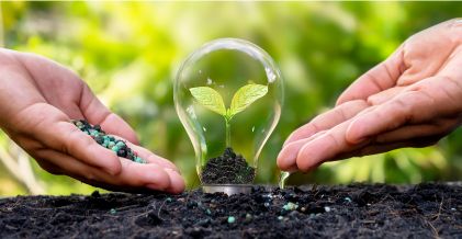 Agricultura fertilizantes